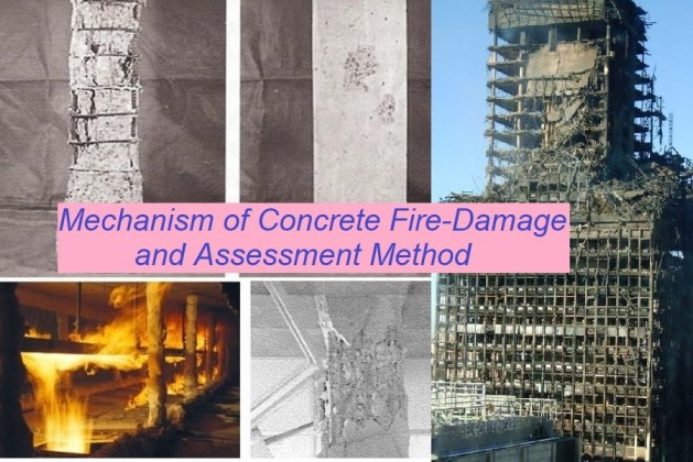 Fire Damage Mechanism of RC Structure and Assessment Method